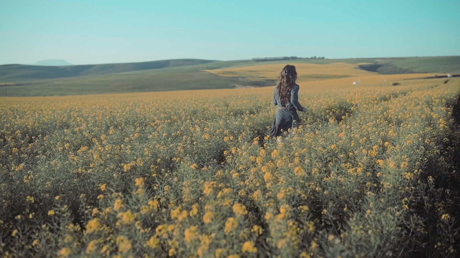 Carica il video: 